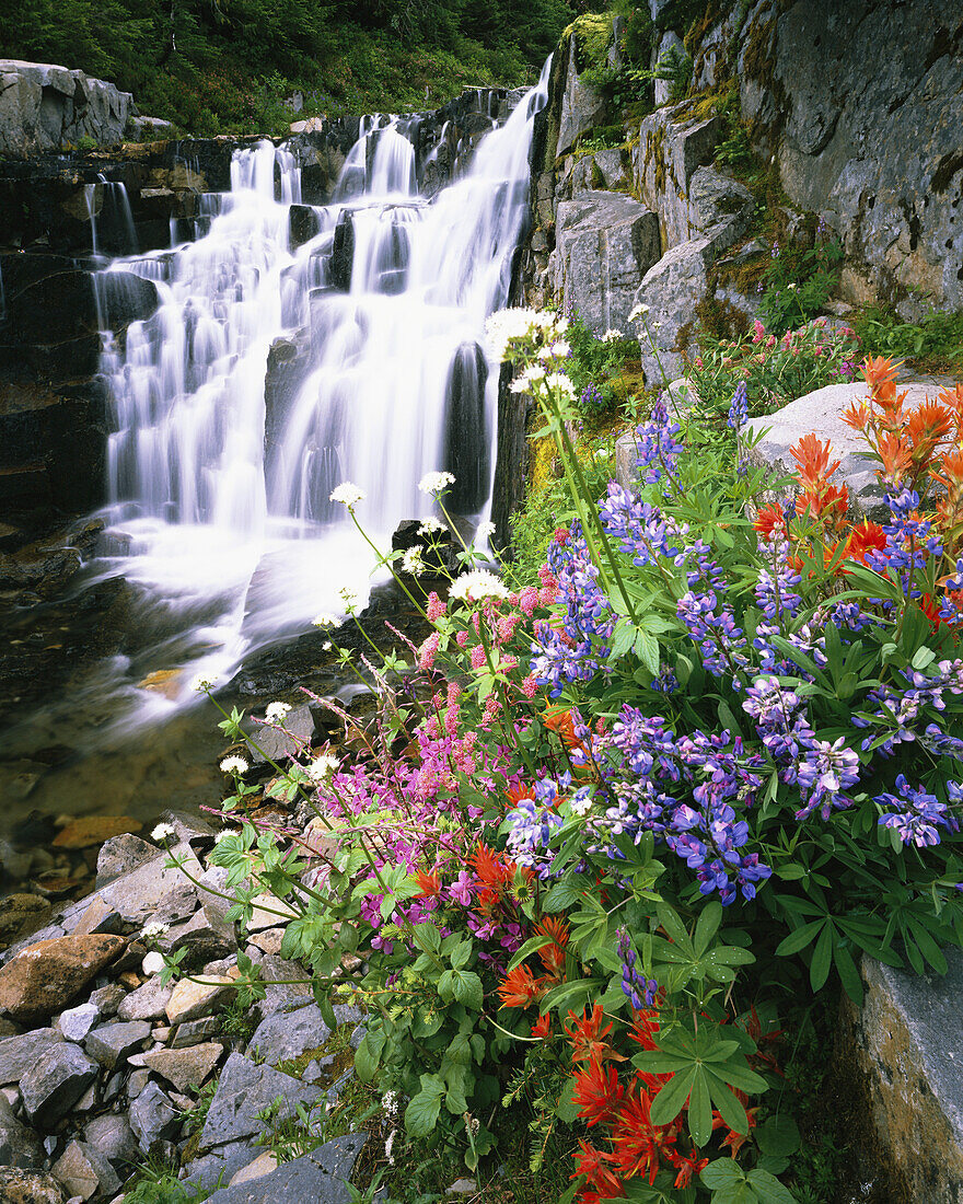 Atemberaubende Schönheit im Pazifischen Nordwesten mit kaskadenartigen Wasserfällen und farbenprächtigen Wildblumen, Washington, Vereinigte Staaten von Amerika