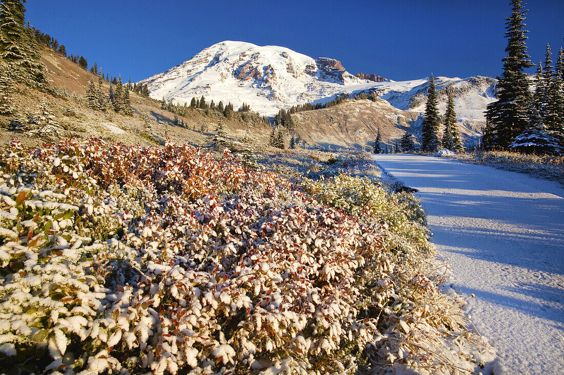 Trail through the Cascade Mountains in autumn in Mount Rainier National Park,Washington,United States of America