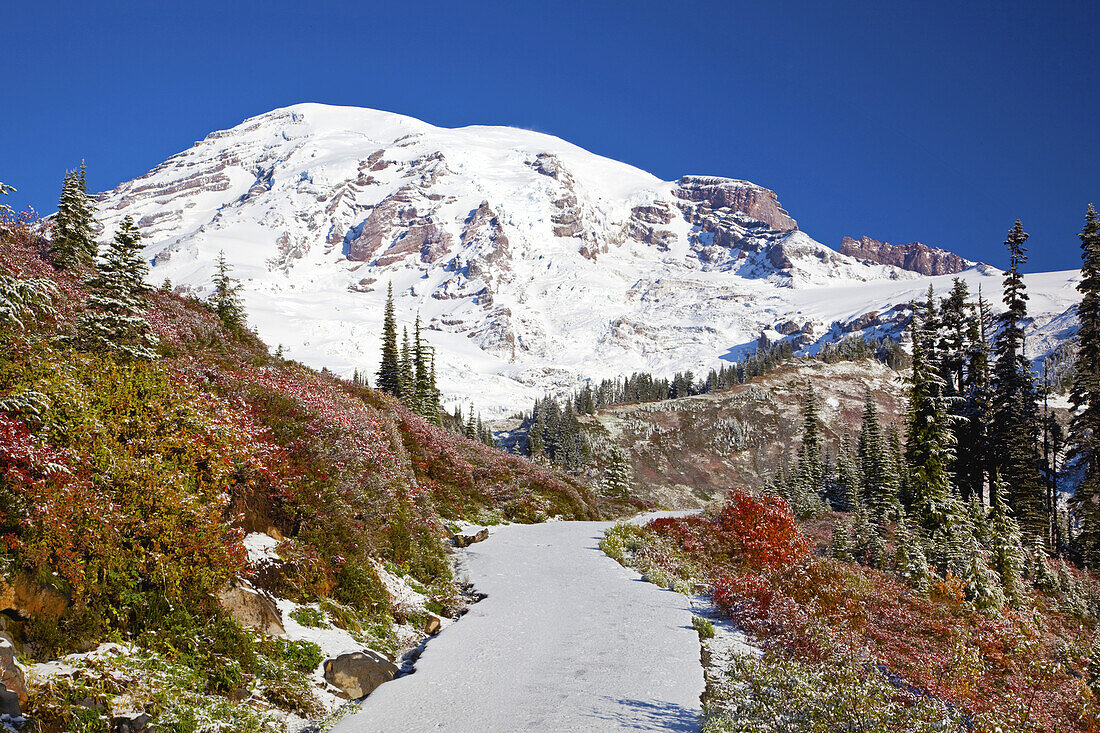 Trail through the Cascade Mountains in autumn in Mount Rainier National Park,Washington,United States of America