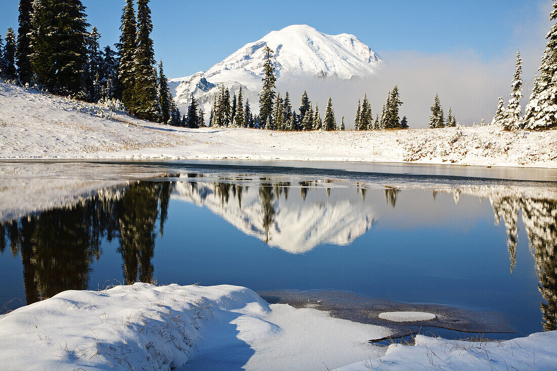 Mount Rainier spiegelt sich in einem See im Winter, Schnee bedeckt den Berg und das Ufer an der Baumgrenze im Mount Rainier National Park,Washington,Vereinigte Staaten von Amerika