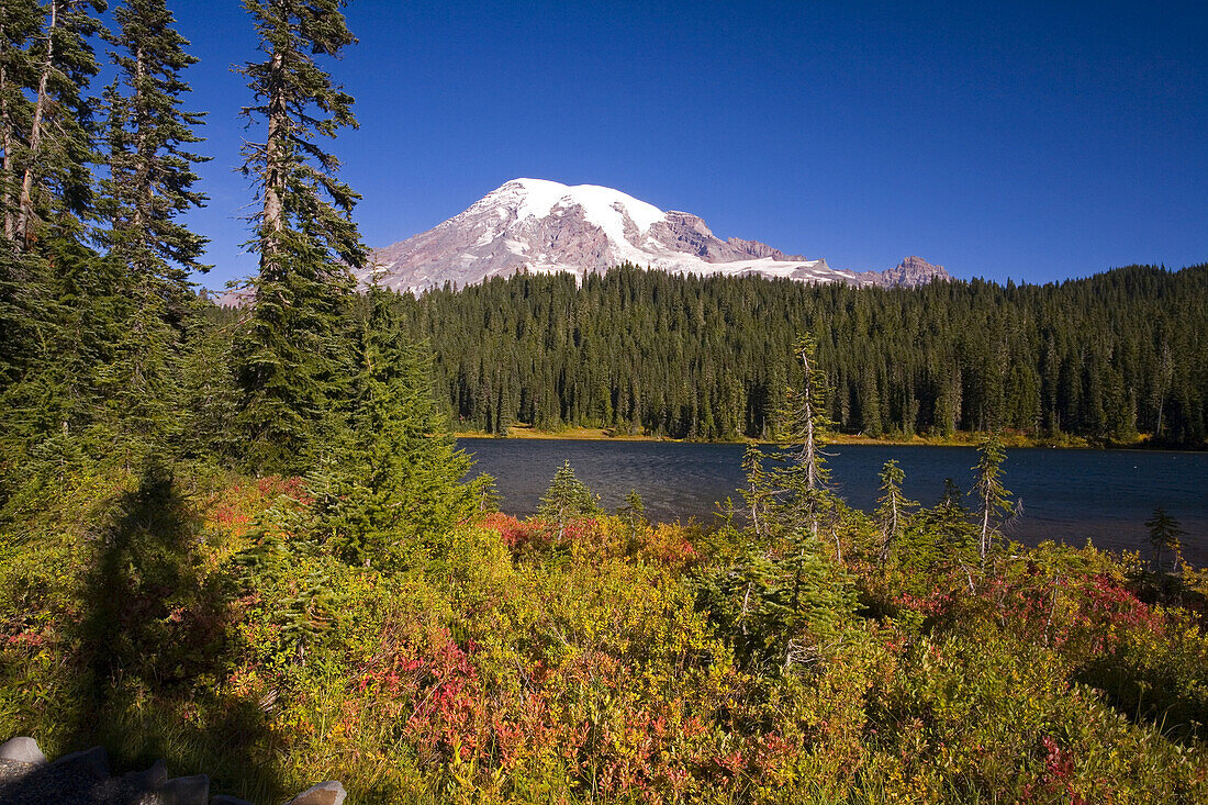 Mount Rainier mit Herbstfarben auf der Wiese, im Wald und am See im Mount Rainier National Park,Washington,Vereinigte Staaten von Amerika