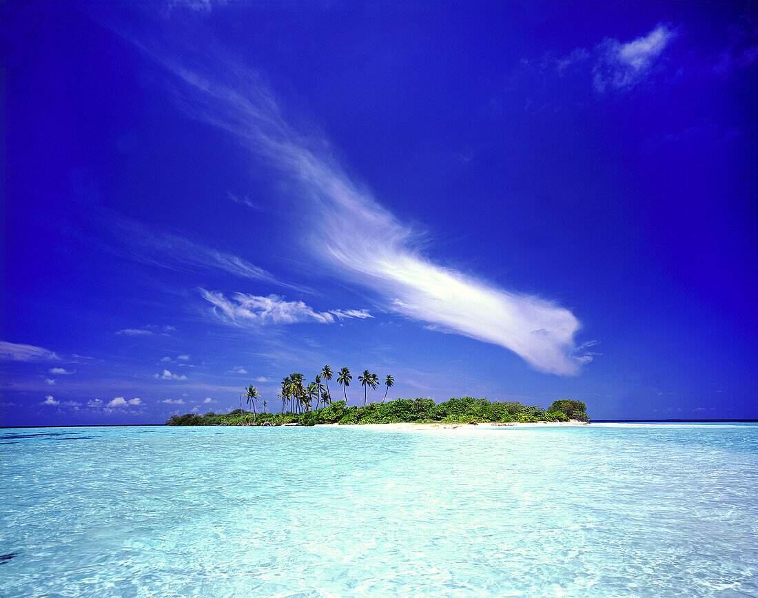 Kleine tropische Insel mit Palmen, umgeben von klarem türkisfarbenem Wasser und einer Sandbank,Malediven