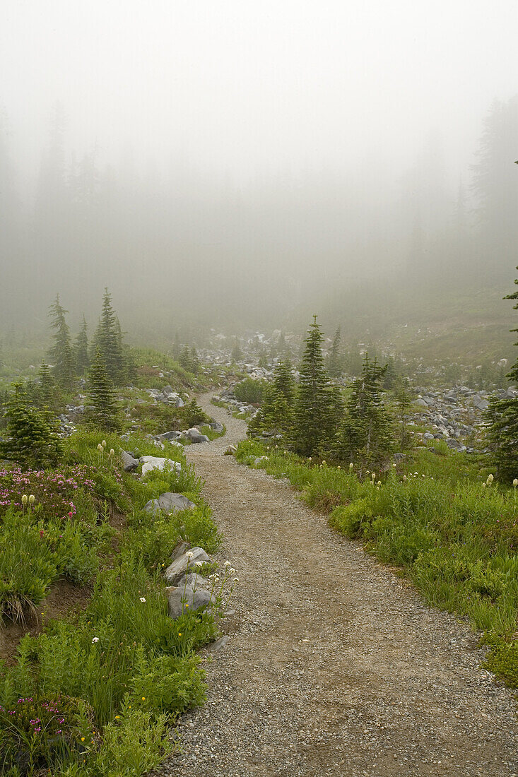 A trail obscured by fog,Mount Rainier National Park,Washington,USA