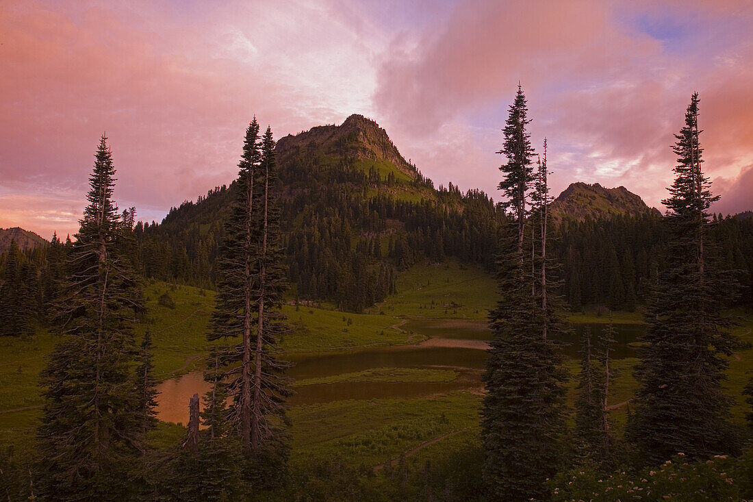 Sonnenaufgang im Mount Rainier National Park mit einem leuchtend rosa Himmel und einem bewaldeten Berggipfel,Washington,Vereinigte Staaten von Amerika