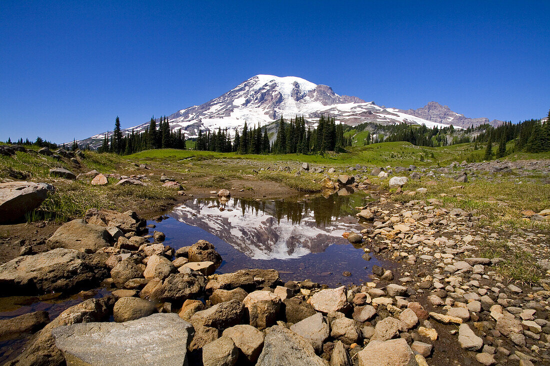 Schnee auf dem Mount Rainier und Spiegelungen in einem Teich im Mount Rainier National Park, Washington, Vereinigte Staaten von Amerika