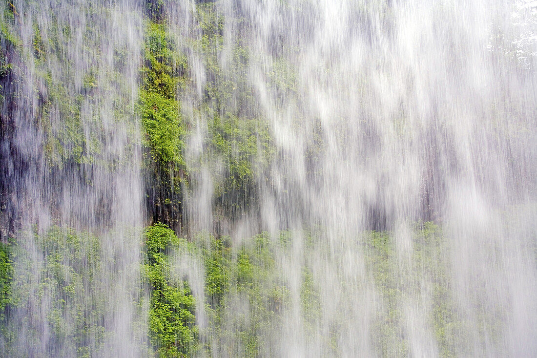 Bewegungsunschärfe eines herabstürzenden Wasserfalls und einer mit üppigem, grünem Laub bedeckten Klippe dahinter, North Falls, Silver Falls State Park, Oregon, Vereinigte Staaten von Amerika