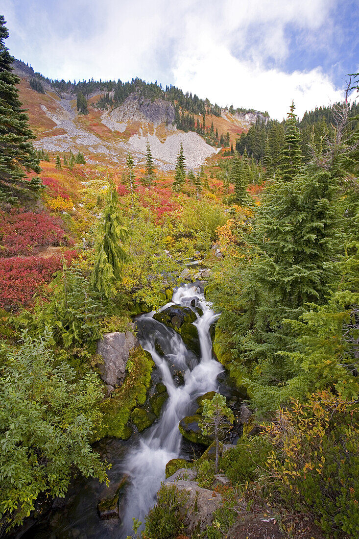 Vibrant autumn colours and cascading water over rocks in Mount Rainier National Park,Washington,United States of America