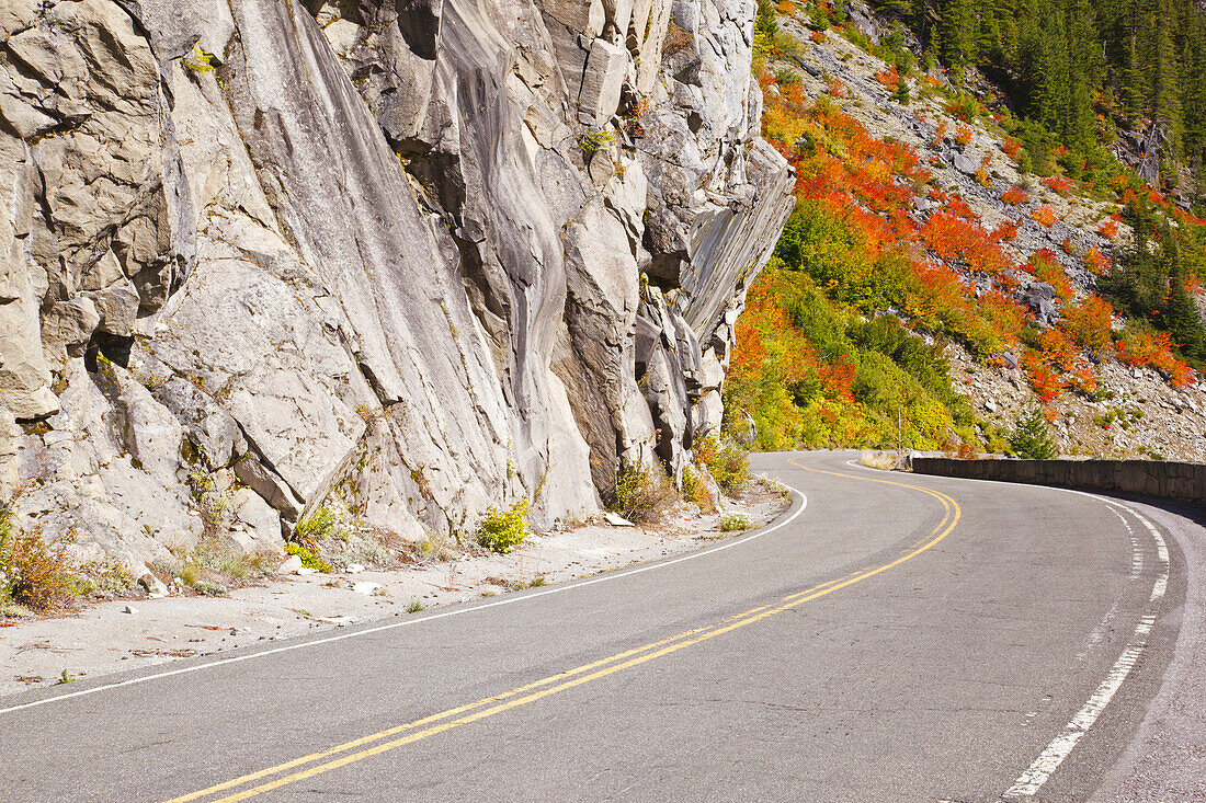 Road across Mount Rainier with rocky cliffs and autumn coloured foliage in Mount Rainier National Park,Washington,United States of America