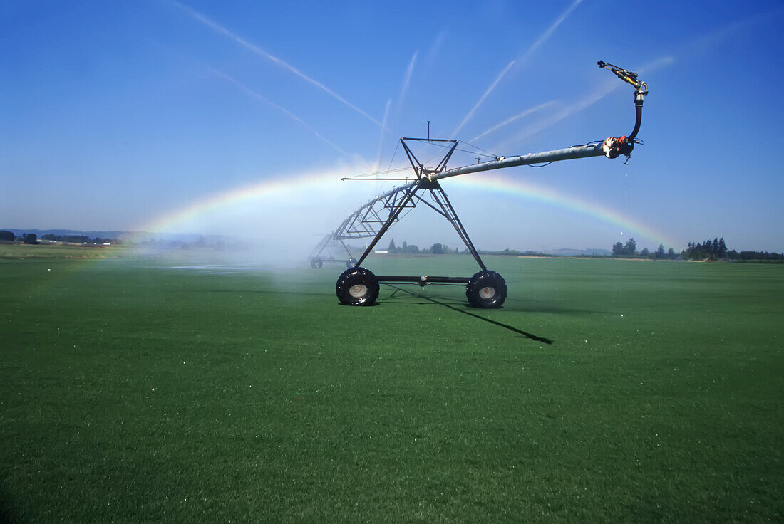 Regenbogen, der durch den Sprühnebel der Bewässerungsanlage auf dem Ackerland im Willamette Valley, Oregon, USA, scheint