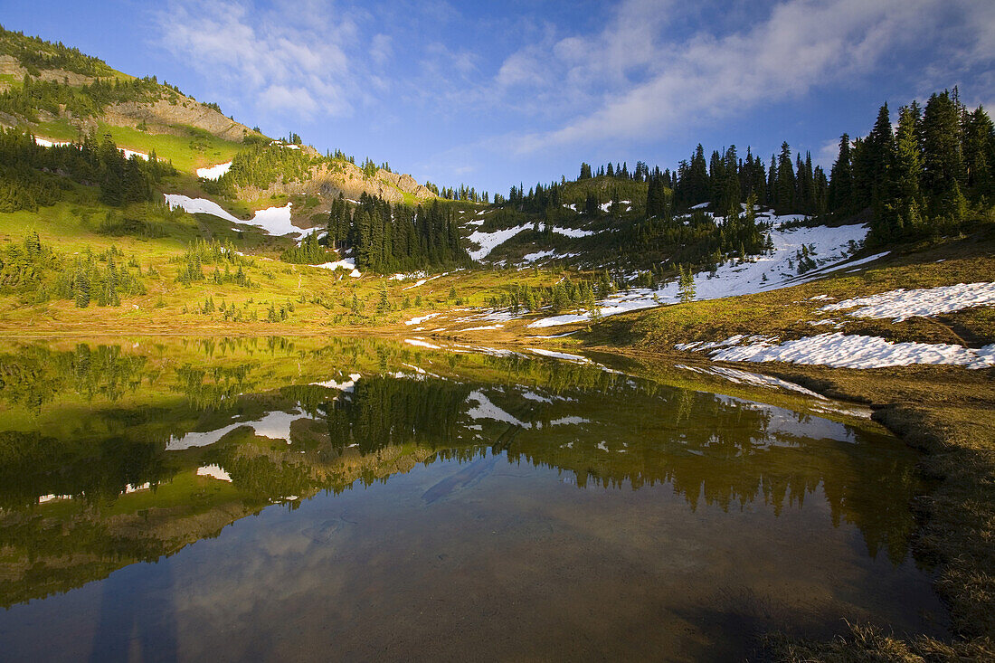 Mountainside and alpine meadow with trees and traces of snow reflected in Tipsoo Lake,Mount Rainier National Park,Washington,United States of America