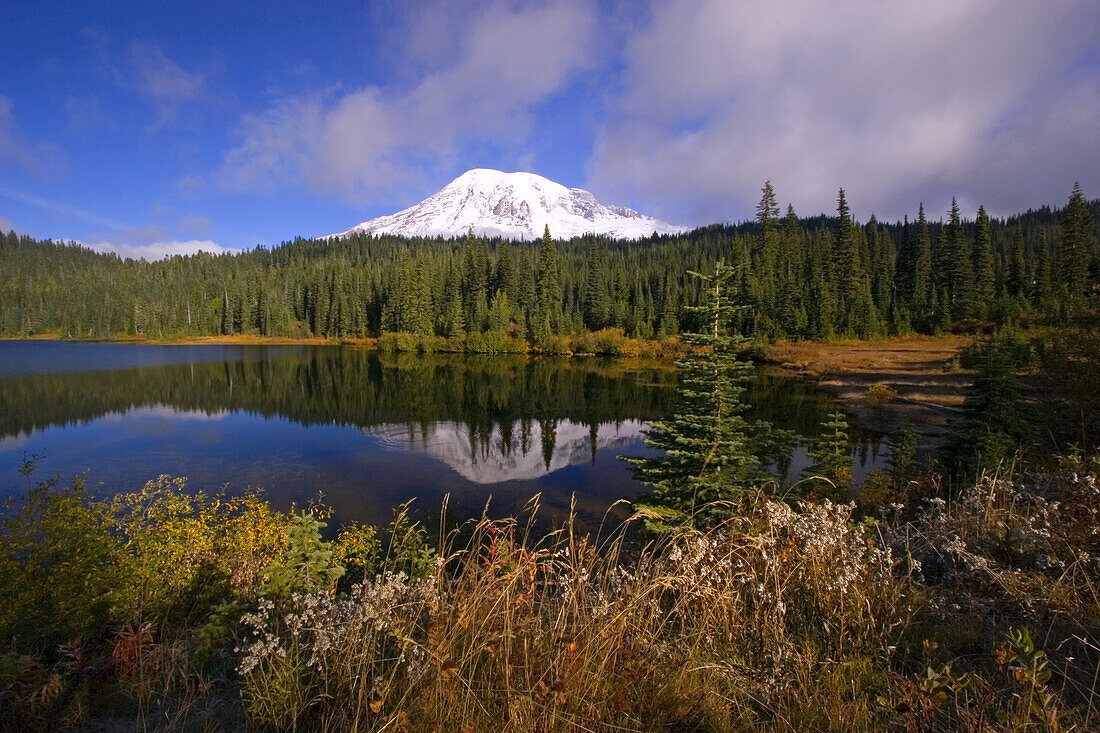 Mount Rainier und Wald spiegeln sich in einem ruhigen See im Mount Rainier National Park,Washington,Vereinigte Staaten von Amerika