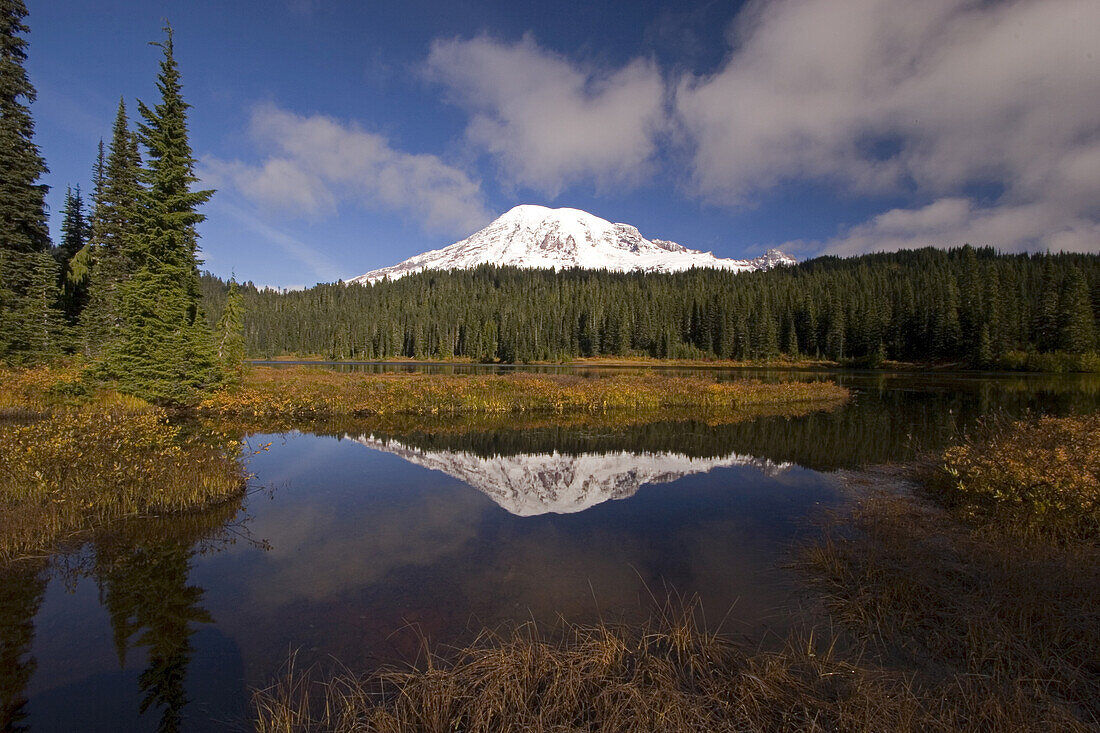 Mount Rainier and forest reflected in a tranquil lake in Mount Rainier National Park,Washington,United States of America