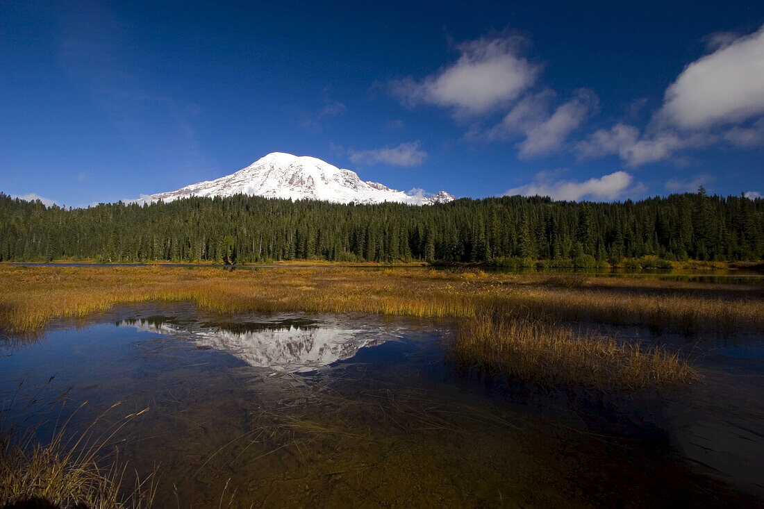 Mount Rainier and forest reflected in a tranquil lake in Mount Rainier National Park,Washington,United States of America