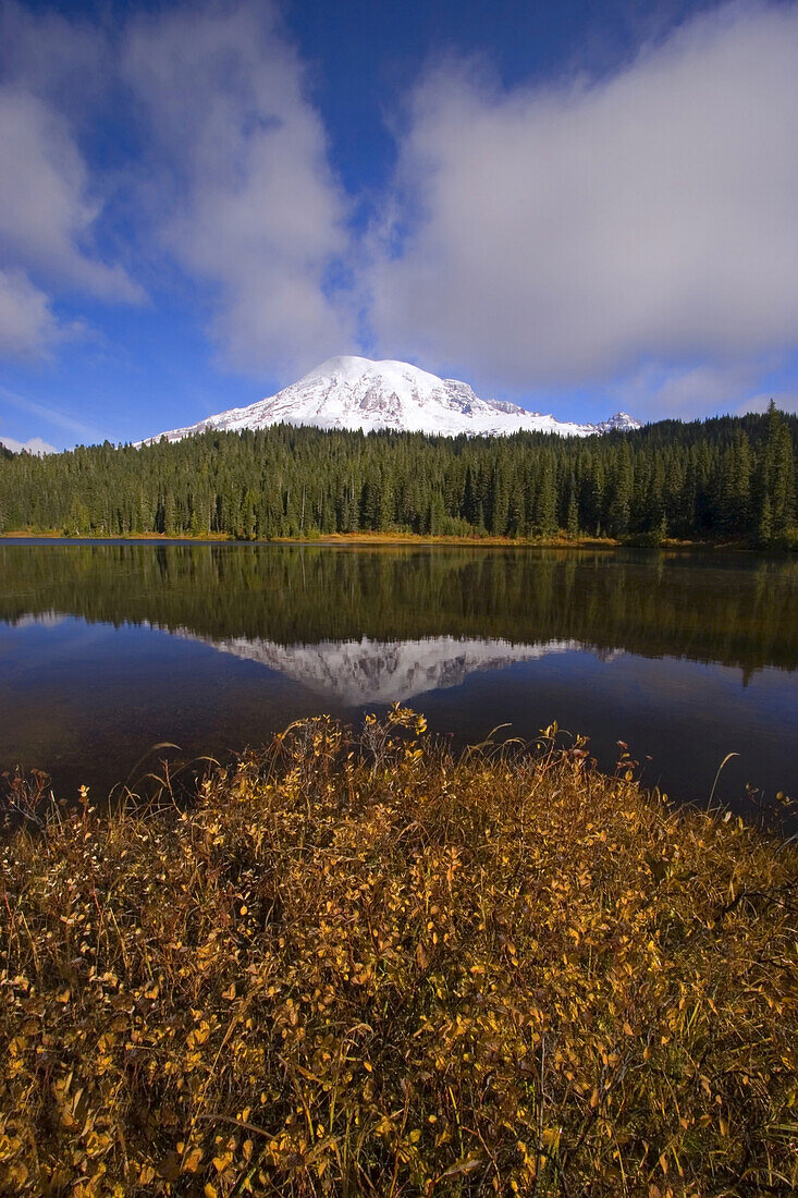 Mount Rainier and forest reflected in a tranquil lake with autumn coloured foliage in the foreground in Mount Rainier National Park,Washington,United States of America