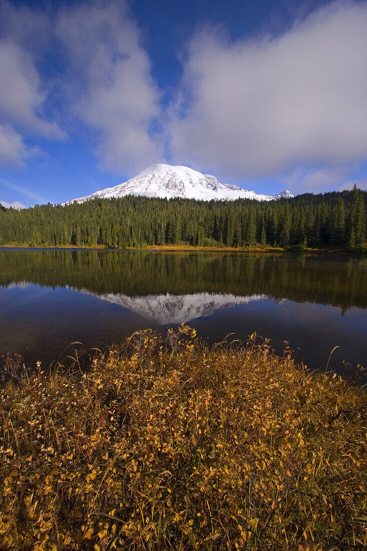 Mount Rainier und Wald spiegeln sich in einem ruhigen See mit herbstlich gefärbtem Laub im Vordergrund im Mount Rainier National Park, Washington, Vereinigte Staaten von Amerika