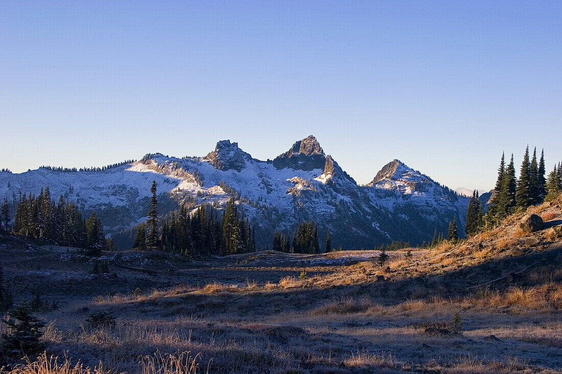 Rugged peaks of the Tatoosh Range with traces of snow against a blue sky and frost in the meadow in the valley below,Mount Rainier National Park,Washington,United States of America