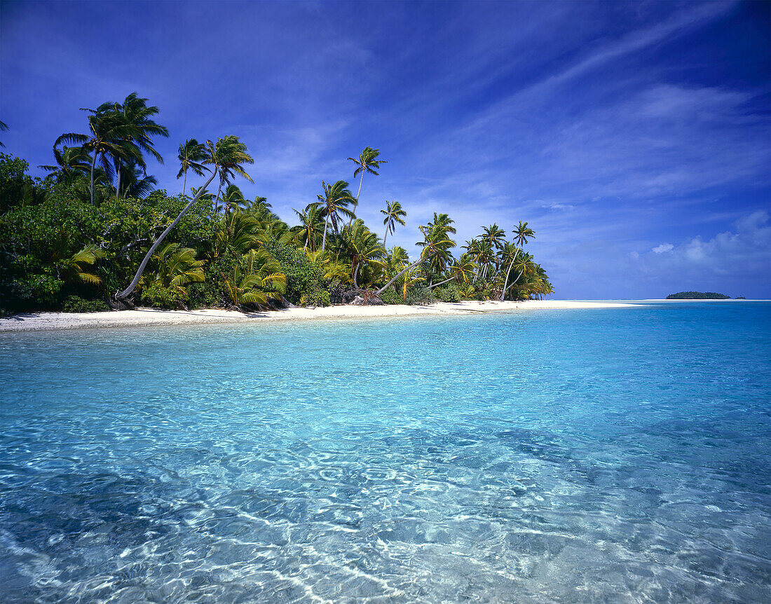 Palmen säumen den weißen Sandstrand einer Insel mit klarem, türkisfarbenem Wasser und strahlend blauem Himmel, Cookinseln