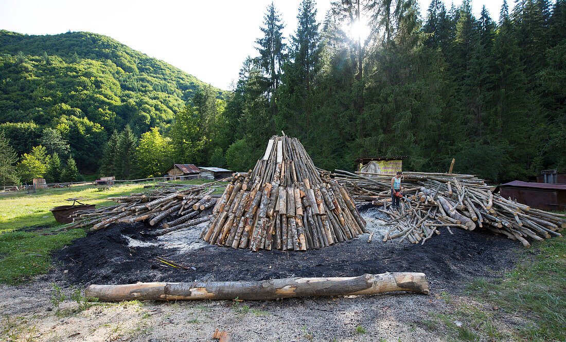 Holzstapel, der von Köhlern im Wald der Karpaten, Siebenbürgen, Strambu-Baiut, Kreis Maramures, Rumänien, aufgeschichtet wird
