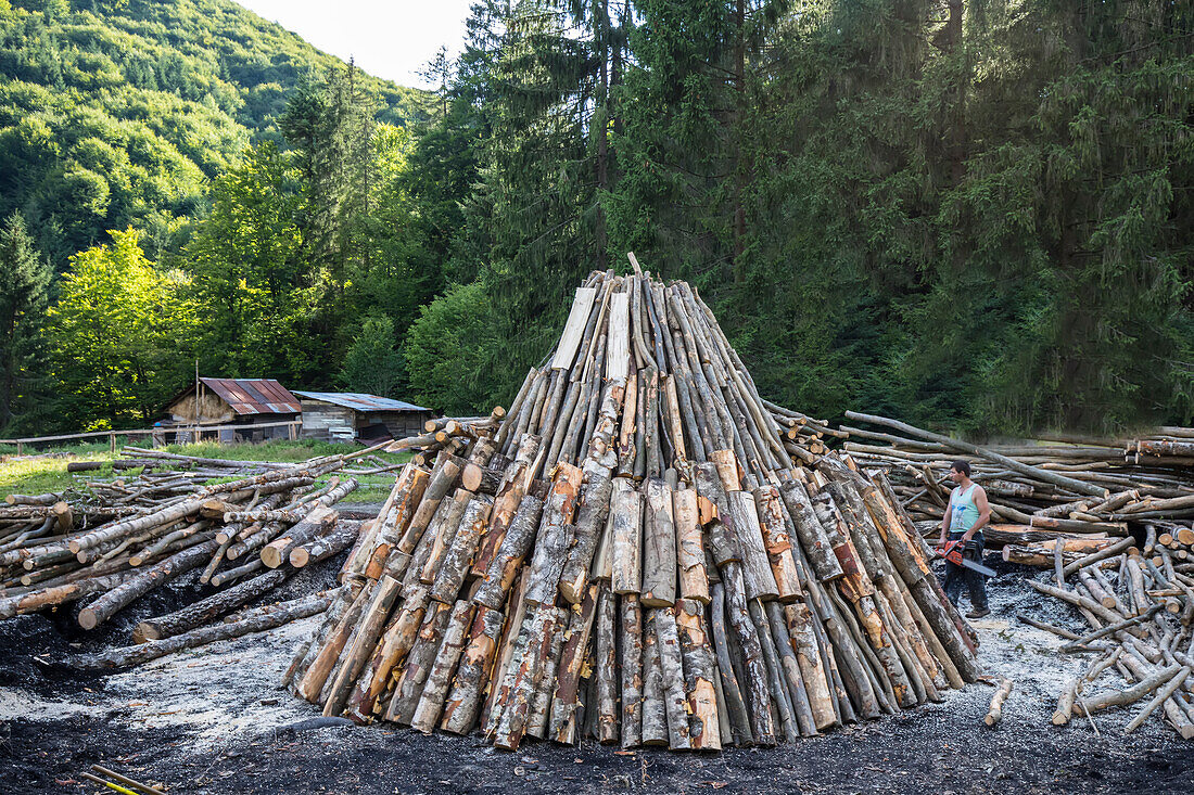 Holzstapel wird von Köhlern im Wald der Karpaten aufgeschichtet, Siebenbürgen, Strambu-Baiut, Kreis Maramures, Rumänien