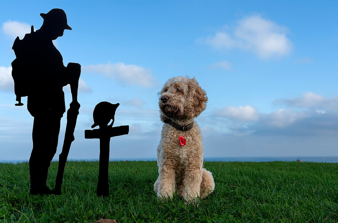 Hund sitzt an einem Denkmal zum Gedenktag,South Shields,Tyne and Wear,England