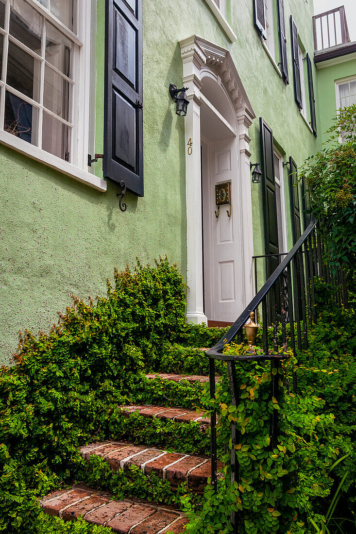 Hauseingang mit Weinreben an Backsteinstufen und grüner Fassade mit weißer Zierleiste,Charleston,South Carolina,Vereinigte Staaten von Amerika