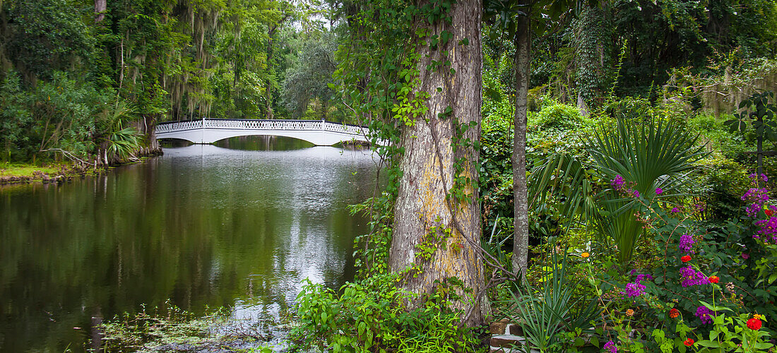 Boone Hall Plantation and Gardens,with a white footbridge crossing tranquil water,Charleston,South Carolina,United States of America