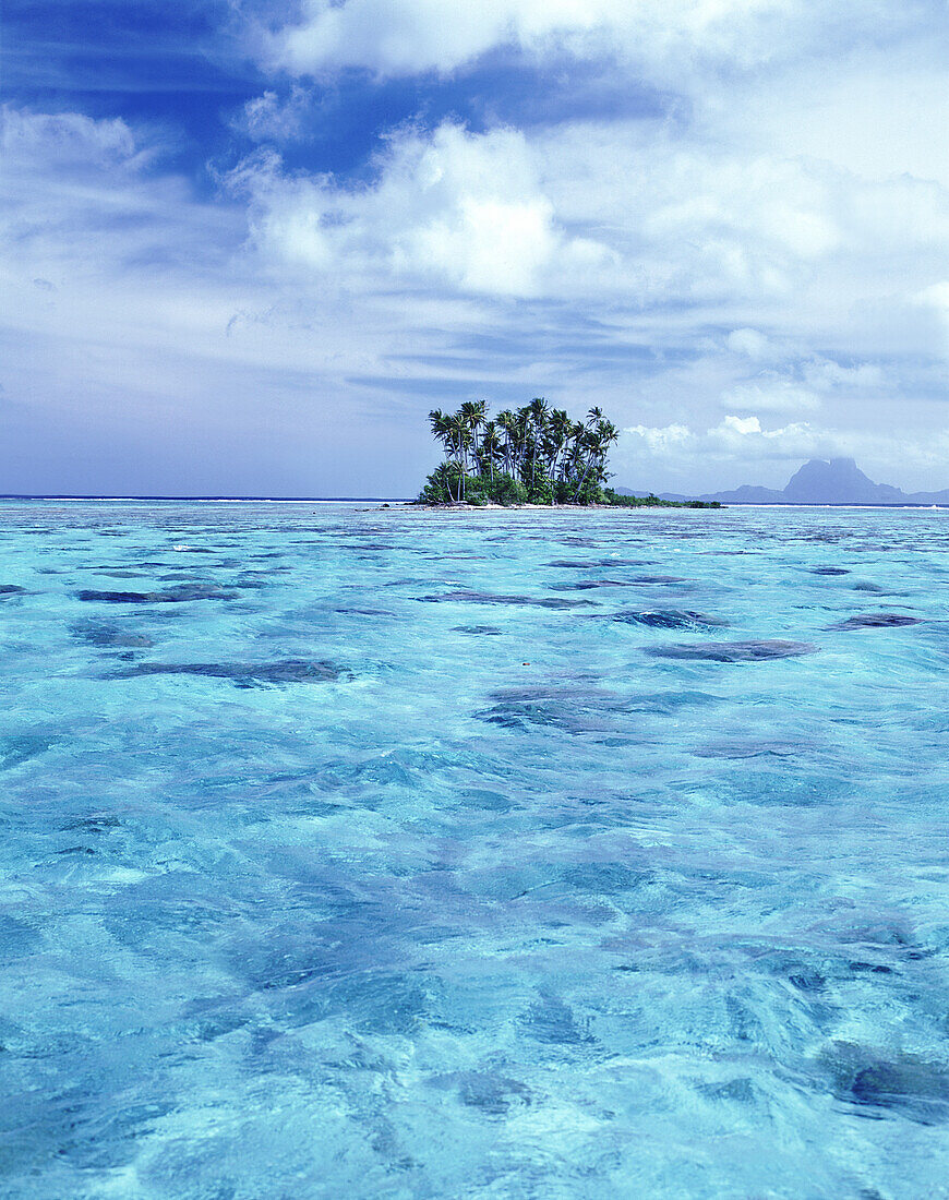 Kleine tropische Insel mit Palmen, umgeben von klarem, türkisfarbenem Wasser und einer Sandbank, Französisch-Polynesien