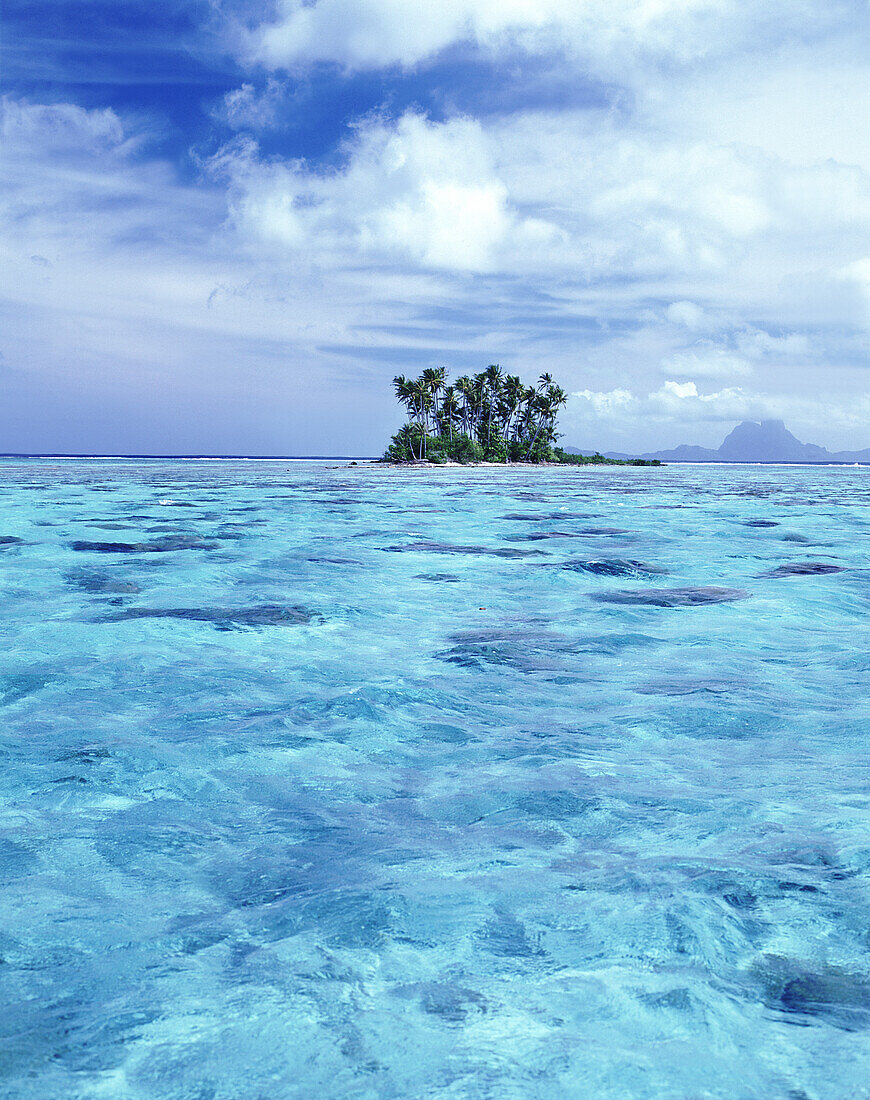 Small tropical island with palm trees surrounded by clear turquoise water and a sandbar,French Polynesia