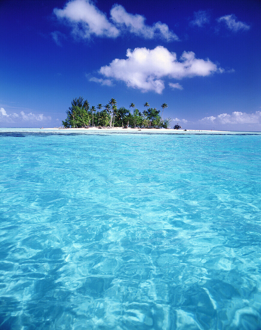 Kleine tropische Insel mit Palmen, umgeben von klarem, türkisfarbenem Wasser und einer Sandbank, Französisch-Polynesien