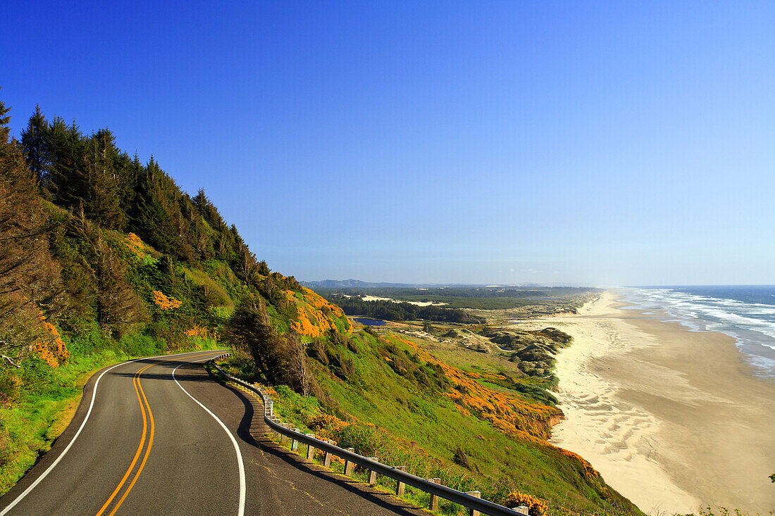 Küstenstraße 101 in Oregon entlang des Pazifischen Ozeans und Strand mit herbstlich gefärbtem Laub und Wald an einem Hang, Oregon, Vereinigte Staaten