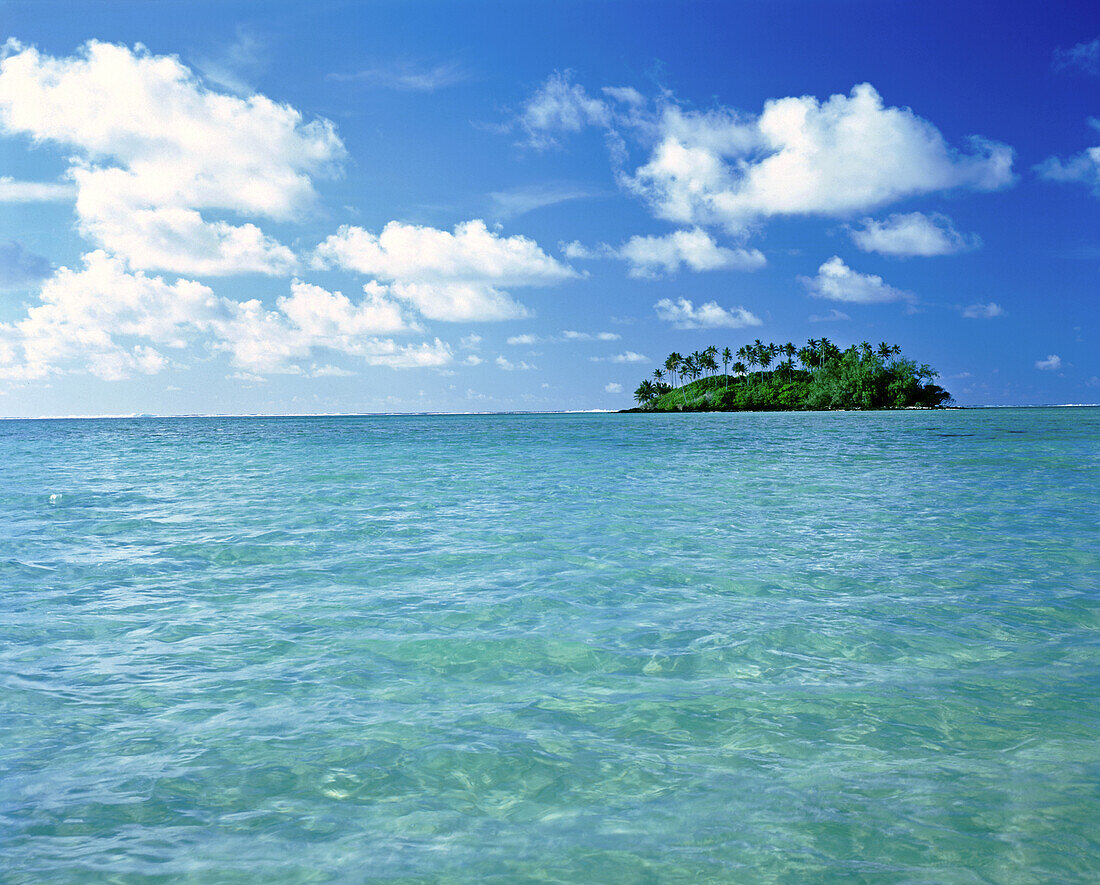 Kleine Insel auf den Cookinseln, umgeben von türkisfarbenem Wasser,Cookinseln