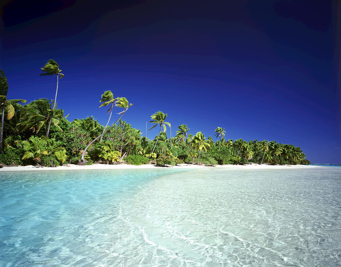 Palmen säumen das Ufer einer Insel mit klarem, türkisfarbenem Wasser und strahlend blauem Himmel,Cookinseln