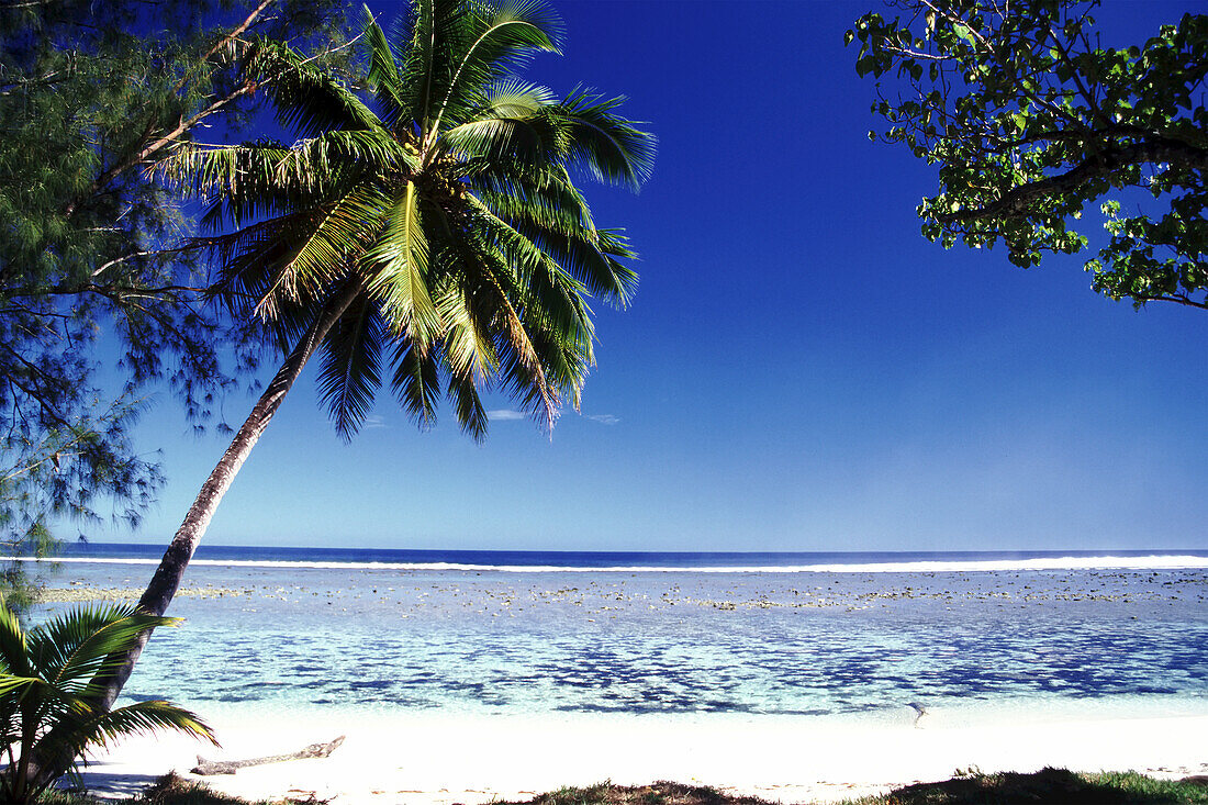 Paradies im Südpazifik mit Palmen an einem weißen Sandstrand und Blick auf den weiten blauen Ozean dahinter,Cookinseln