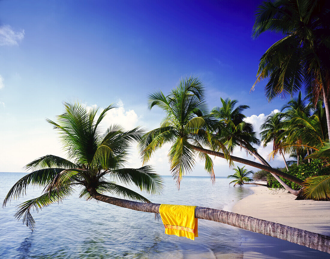 Palme am weißen Sandstrand über tropischem Wasser mit einem leuchtend gelben Handtuch über dem Baumstamm, Malediven