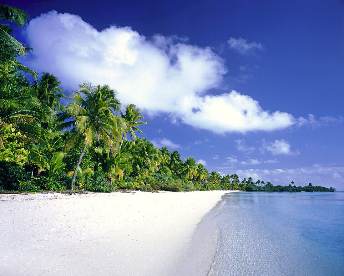 Palmen säumen den weißen Sandstrand einer Insel mit klarem, türkisfarbenem Wasser und strahlend blauem Himmel, Cook-Inseln