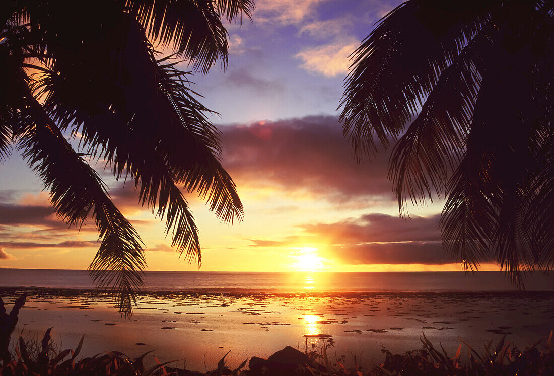 Sunlight glowing over the ocean at sunset with silhouetted palm trees reaching out from the shore,Maldives