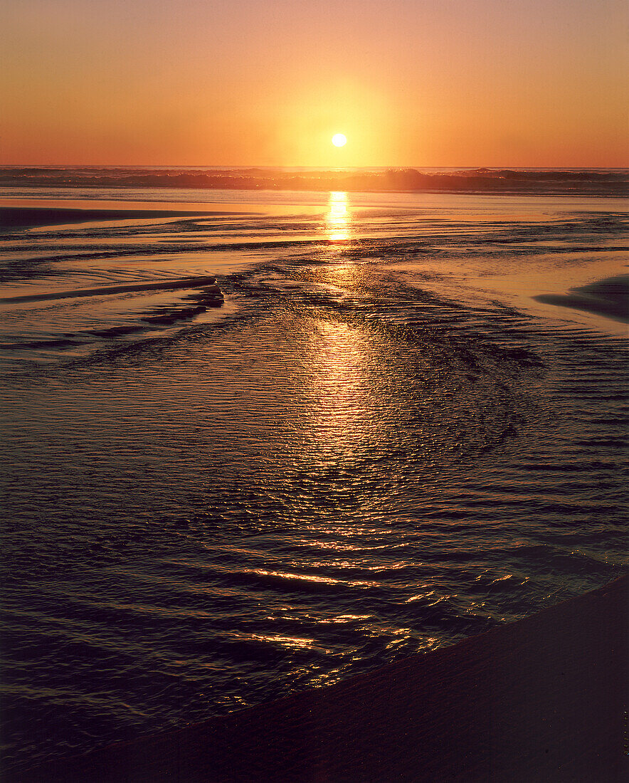 Goldenes Licht bei Sonnenuntergang leuchtet und spiegelt sich über dem Ozean von einem Strand aus gesehen, Oregon, Vereinigte Staaten von Amerika