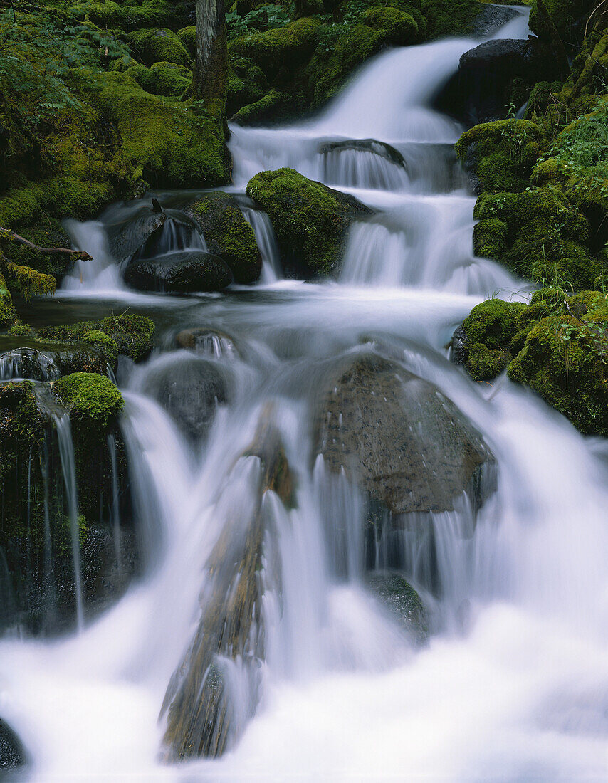 Bewegungsunschärfe eines Wasserfalls, der über moosbewachsene Felsen in einer Reihe von Wasserfällen am Mount Jefferson fließt, Mount Jefferson Wilderness, Oregon, Vereinigte Staaten von Amerika