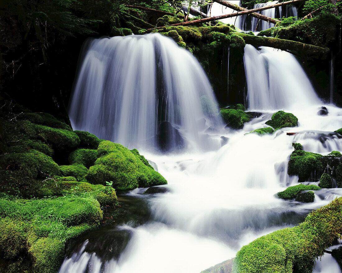 Bewegungsunschärfe eines Wasserfalls, der über moosbewachsene Felsen in einem Regenwald fließt, Gifford Pinchot National Forest, Washington, Vereinigte Staaten von Amerika