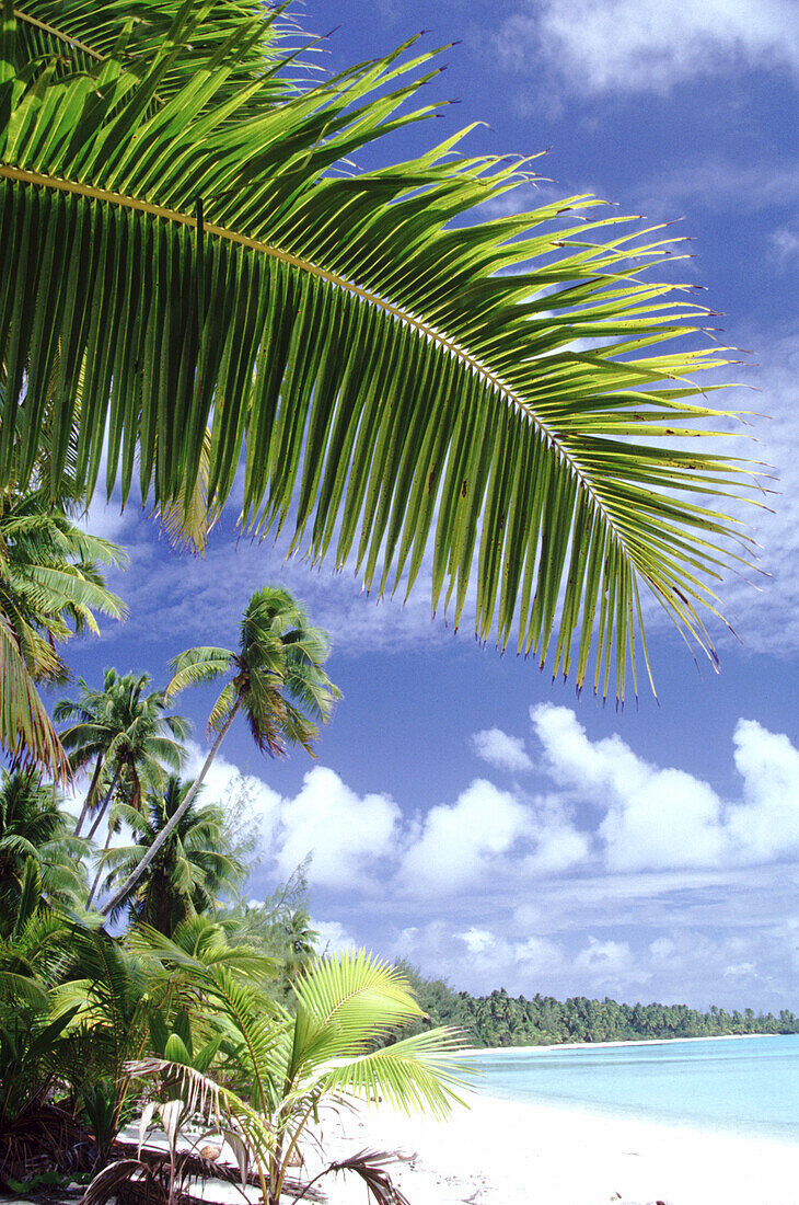 Ein tropisches Paradies auf den Cook-Inseln mit Palmen, weißem Sand und türkisfarbenem Meerwasser, Cook-Inseln