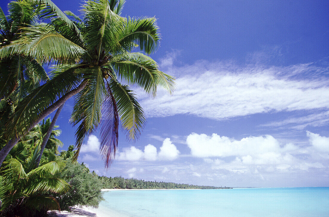 A tropical paradise in the Cook Islands with palm trees,white sand and turquoise ocean water,Cook Islands