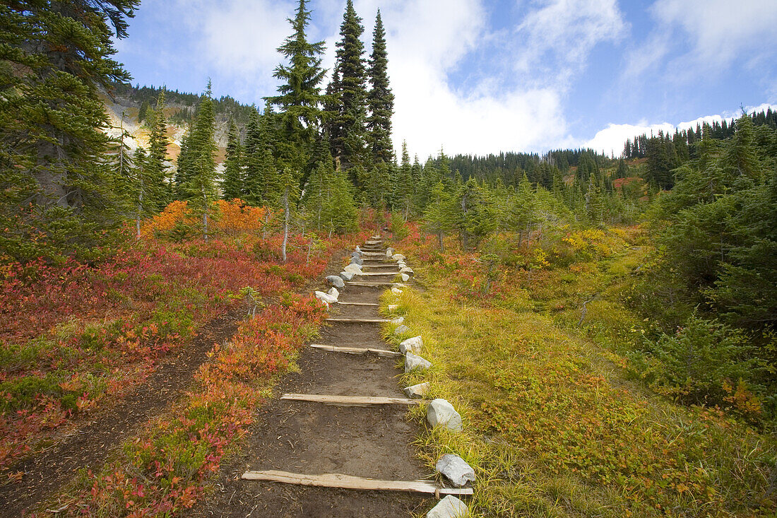 Trail through Mount Rainier National Park in autumn,Washington,United States of America
