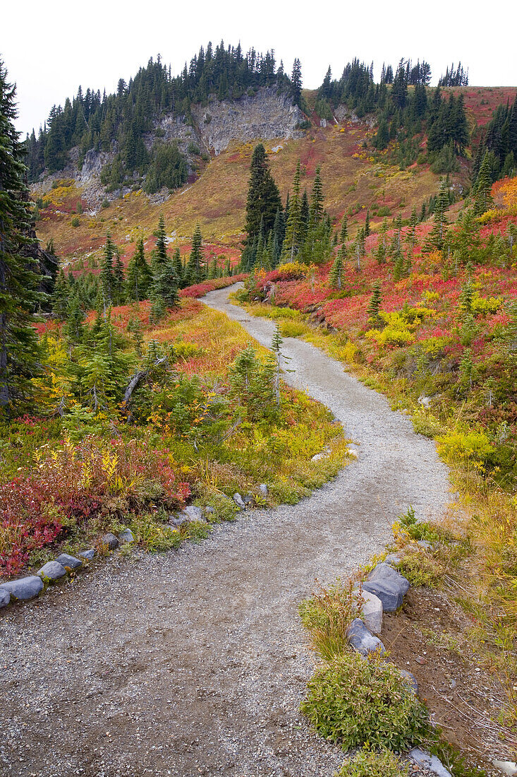 Trail through Mount Rainier National Park in autumn,Washington,United States of America