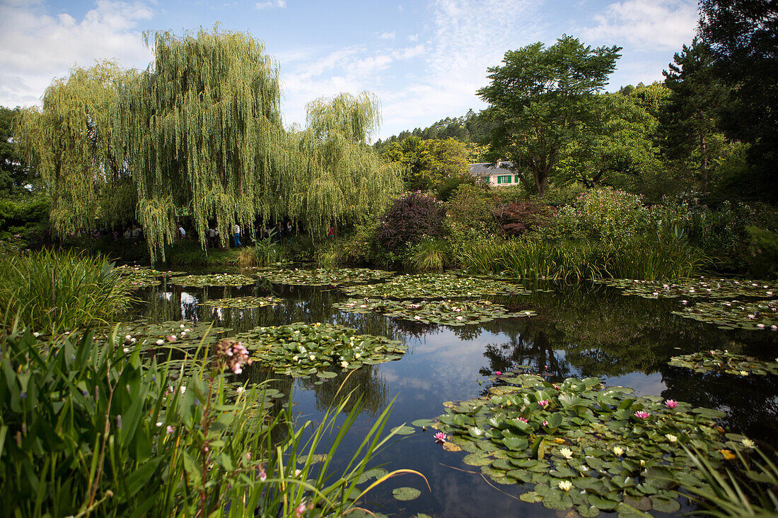 The pond and lily pads that inspired artist and painter Monet,at his home.,Giverny,France