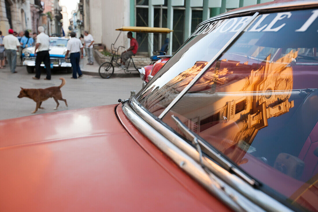 Ein Hund und Menschen lungern auf der Straße herum, während sich die kubanische Architektur in der Innenstadt von Havanna im Fenster eines amerikanischen Oldtimers spiegelt,Havanna,Kuba