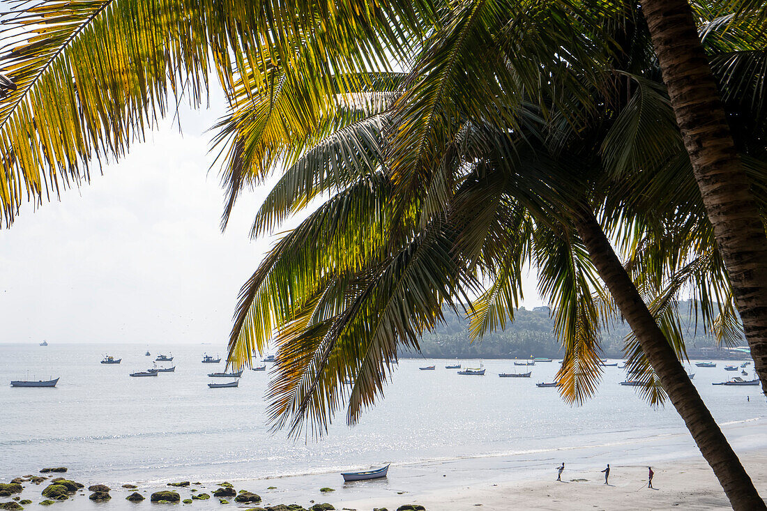 Fishermen hauling in nets at Dolphin Bay,Goa,India,Panjim,Goa,India