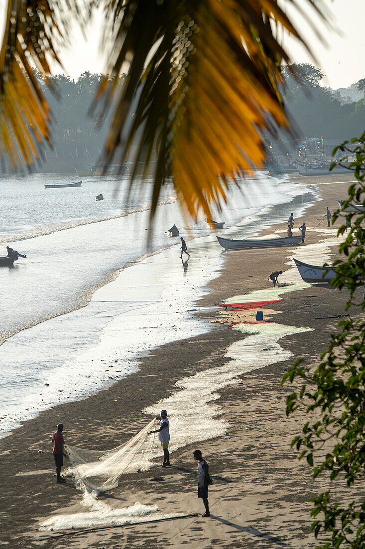 Fischer beim Einholen der Netze in der Delphinbucht, Goa, Indien, Panjim, Goa, Indien