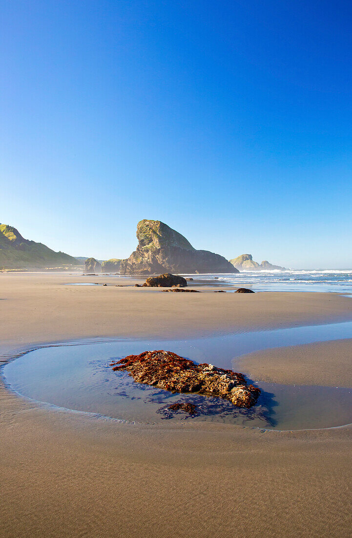 Morning light adds beauty to Cape Sebastian along the South Oregon Coast,Oregon,United States of America