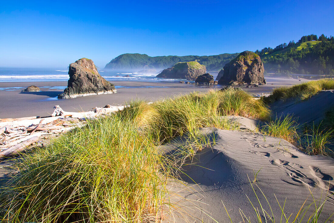 Das Morgenlicht verleiht Cape Sebastian an der Küste von South Oregon, Oregon, Vereinigte Staaten von Amerika, Schönheit