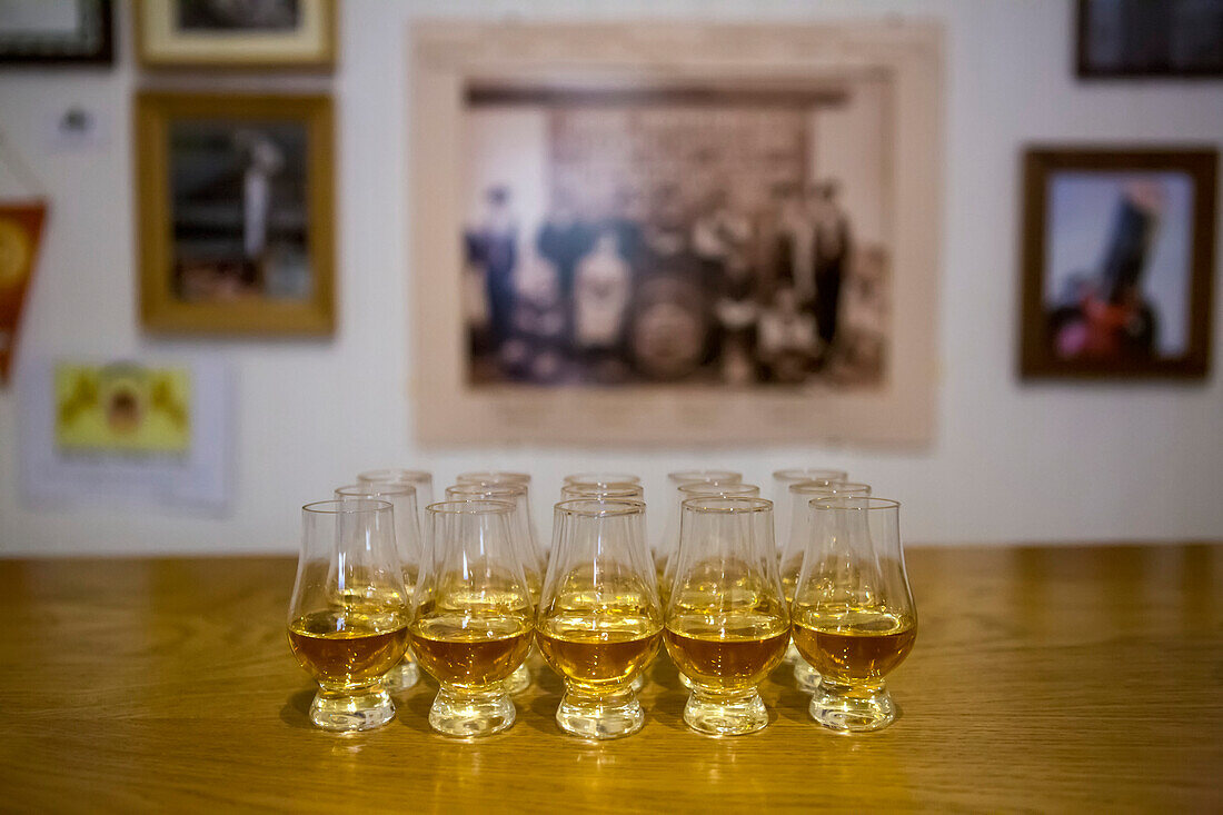 Shots of whiskey are lined up on a bar in Tobermory Distillery,Scotland,Tobermory,Isle of Mull,Scotland